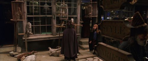 Click to view full size image
==============
CS-Potterish_01197.jpg CS-Potterish_01197.jpg