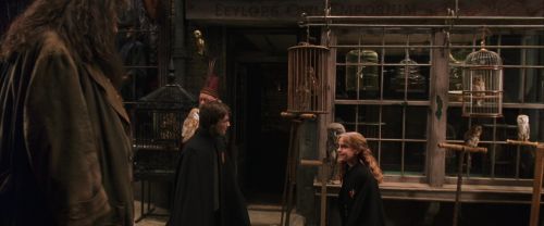 Click to view full size image
==============
CS-Potterish_01200.jpg CS-Potterish_01200.jpg