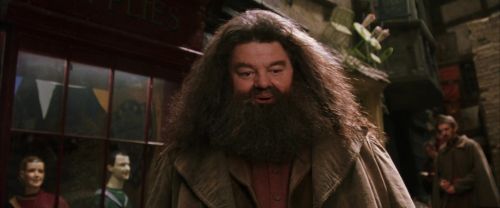 CS-Potterish_01202.jpg