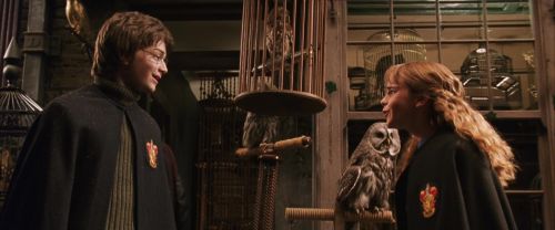 CS-Potterish_01204.jpg