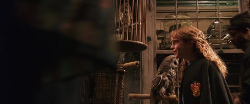 CS-Potterish_01205.jpg