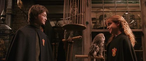 Click to view full size image
==============
CS-Potterish_01210.jpg CS-Potterish_01210.jpg