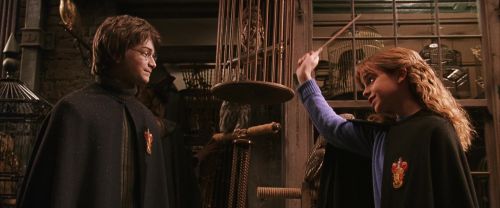 CS-Potterish_01211.jpg