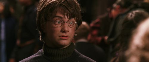 CS-Potterish_01213.jpg