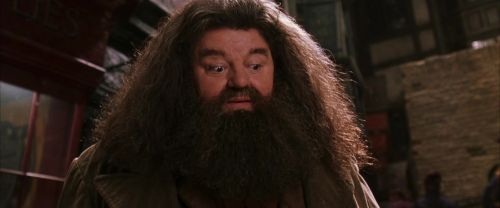 CS-Potterish_01223.jpg