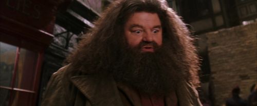 CS-Potterish_01225.jpg