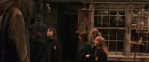 Click to view full size image
==============
CS-Potterish_01226.jpg CS-Potterish_01226.jpg