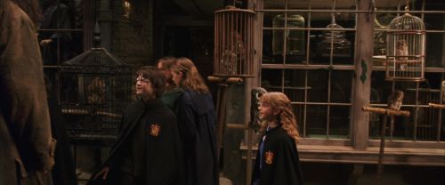 CS-Potterish_01227.jpg