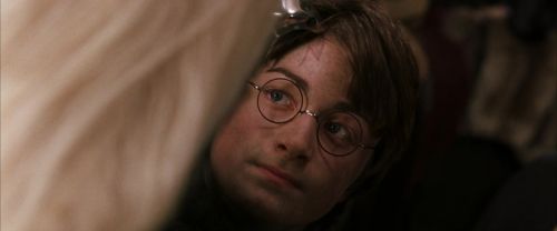 CS-Potterish_01385.jpg
