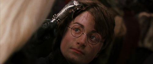 CS-Potterish_01386.jpg