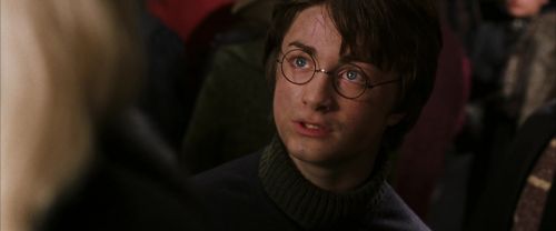 CS-Potterish_01399.jpg