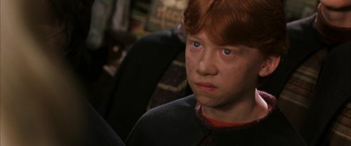 CS-Potterish_01442.jpg