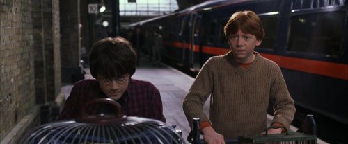 CS-Potterish_01563.jpg
