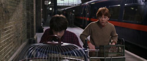 CS-Potterish_01564.jpg