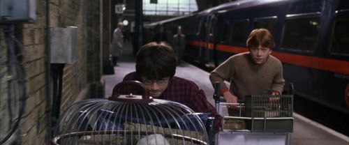 Click to view full size image
==============
CS-Potterish_01565.jpg CS-Potterish_01565.jpg
