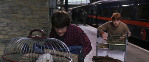 CS-Potterish_01566.jpg