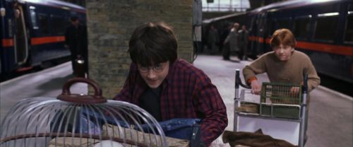 CS-Potterish_01567.jpg