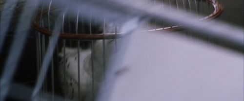Click to view full size image
==============
CS-Potterish_01572.jpg CS-Potterish_01572.jpg