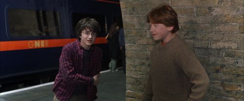 CS-Potterish_01583.jpg