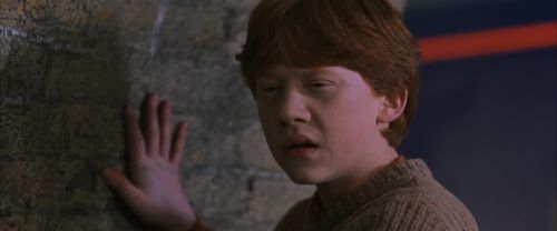 CS-Potterish_01613.jpg