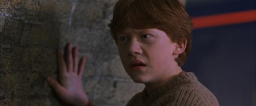 CS-Potterish_01614.jpg