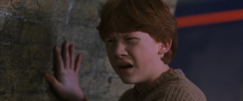 CS-Potterish_01616.jpg