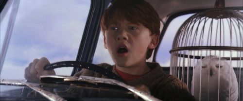 CS-Potterish_01660.jpg