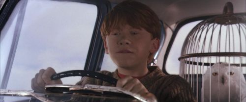 Click to view full size image
==============
CS-Potterish_01661.jpg CS-Potterish_01661.jpg