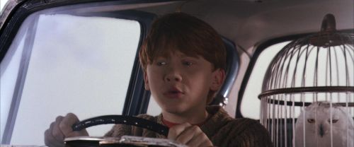 Click to view full size image
==============
CS-Potterish_01662.jpg CS-Potterish_01662.jpg