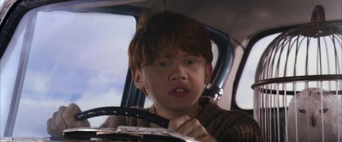 Click to view full size image
==============
CS-Potterish_01663.jpg CS-Potterish_01663.jpg
