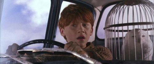 CS-Potterish_01667.jpg