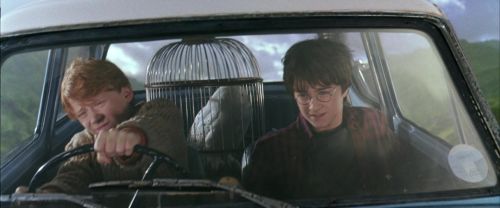 Click to view full size image
==============
CS-Potterish_01671.jpg CS-Potterish_01671.jpg