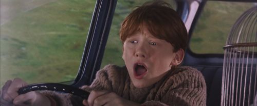 Click to view full size image
==============
CS-Potterish_01684.jpg CS-Potterish_01684.jpg