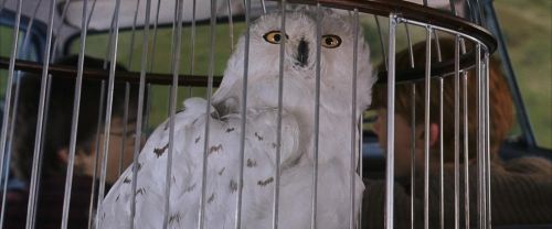 Click to view full size image
==============
CS-Potterish_01697.jpg CS-Potterish_01697.jpg
