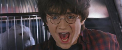 CS-Potterish_01705.jpg