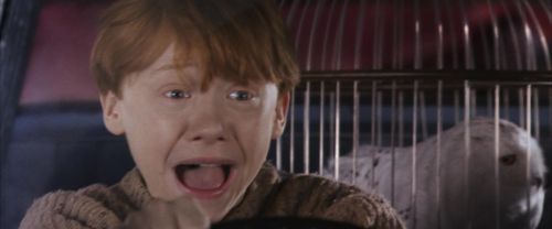 CS-Potterish_01706.jpg