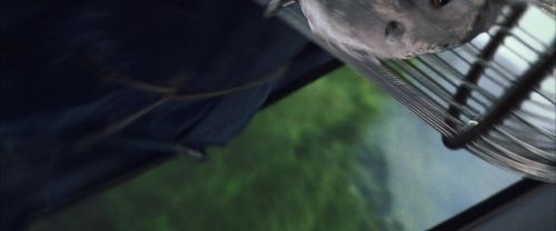 CS-Potterish_01720.jpg