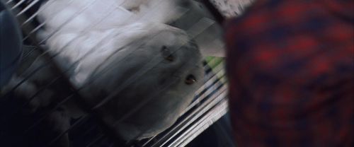 CS-Potterish_01721.jpg