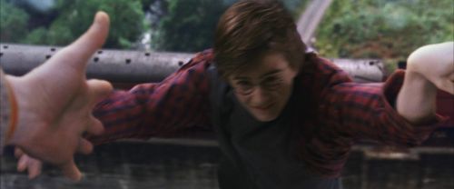 CS-Potterish_01740.jpg
