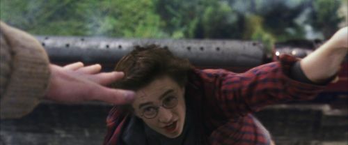 CS-Potterish_01747.jpg