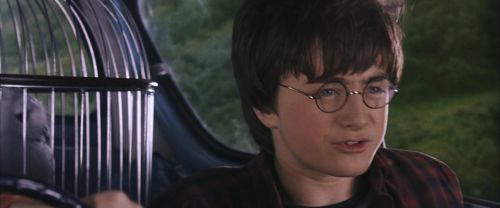 CS-Potterish_01764.jpg