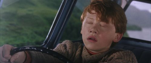 Click to view full size image
==============
CS-Potterish_01766.jpg CS-Potterish_01766.jpg