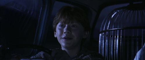 CS-Potterish_01787.jpg