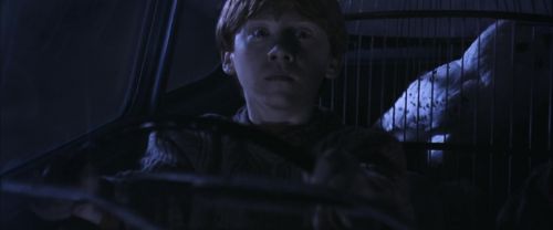CS-Potterish_01791.jpg