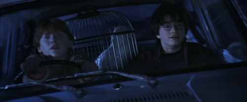 Click to view full size image
==============
CS-Potterish_01799.jpg CS-Potterish_01799.jpg