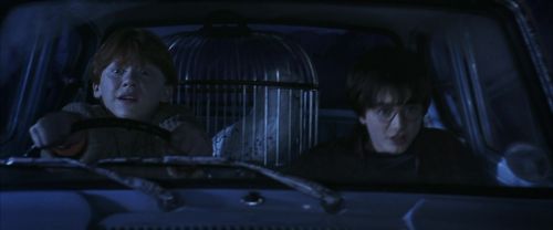 CS-Potterish_01800.jpg