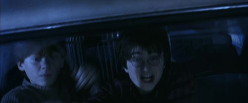 CS-Potterish_01821.jpg