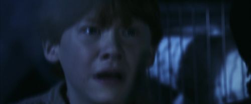 CS-Potterish_01825.jpg