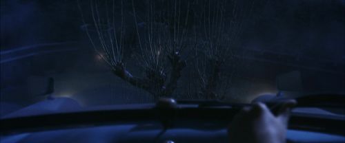 Click to view full size image
==============
CS-Potterish_01826.jpg CS-Potterish_01826.jpg