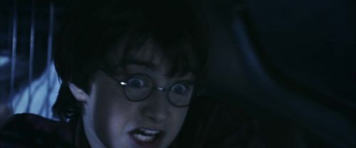CS-Potterish_01828.jpg